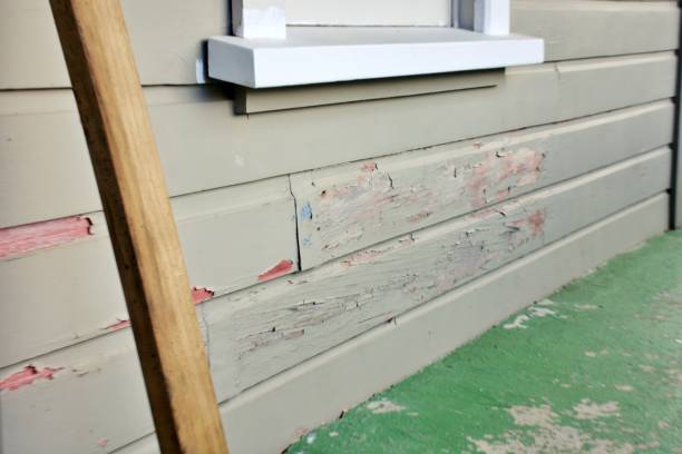 Best Storm Damage Siding Repair  in Bystrom, CA